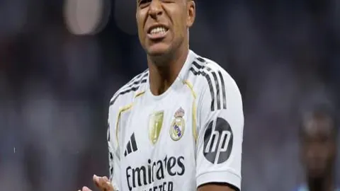 神殿娱乐 资讯 102410 n1x